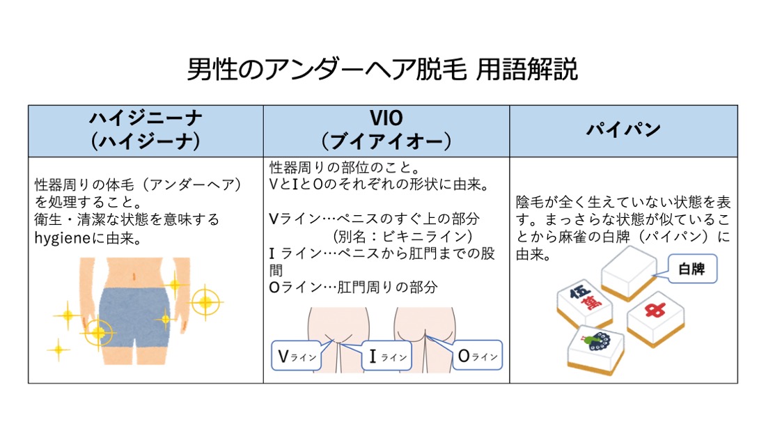 パイパン」をwikiで開くと本物の写真がありました。辞書として認めら | 植木屋 たちばな⚡️♂五郎の ブログ