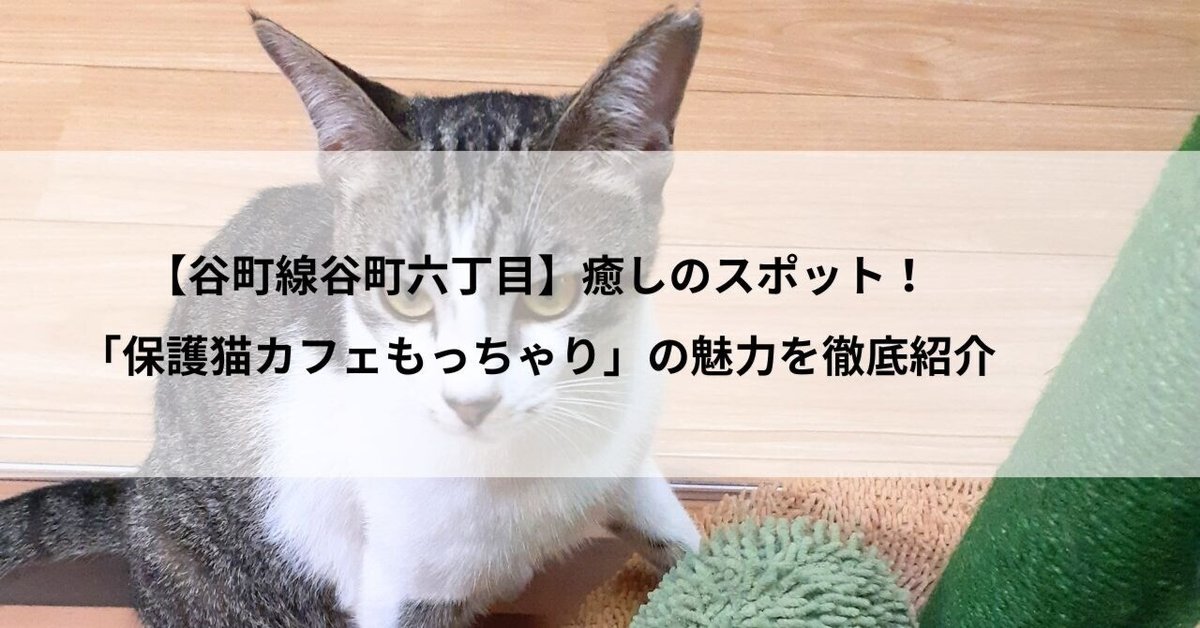 腰痛・猫背・パーソナル姿勢改善～ 整体コンディショニング セレクト | 癒しタイムズ