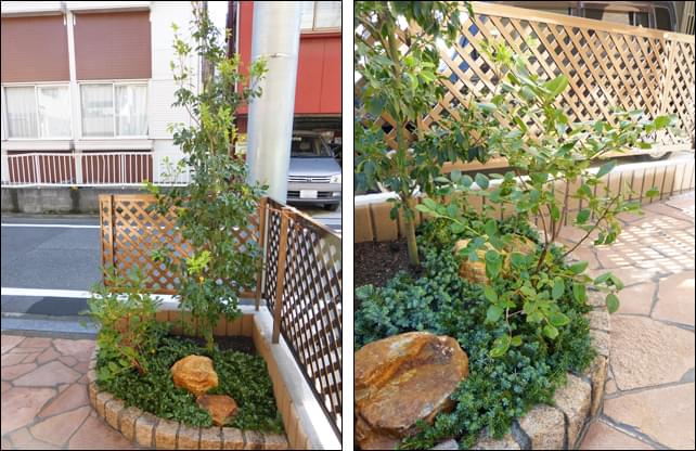 庭のデザインコラムamaneさいたま市の注文木造住宅、住宅設計 - 浦和美園、川口、戸田、越谷、草加、埼玉、東京