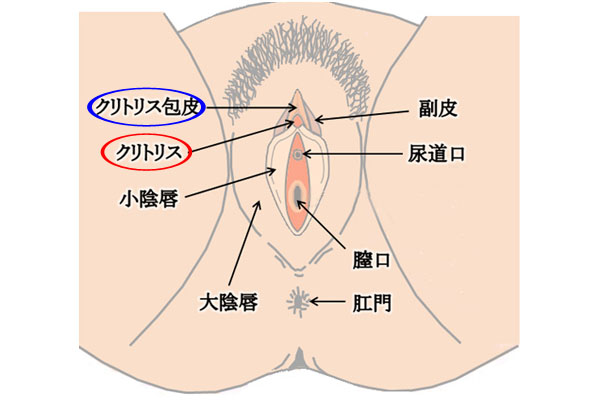 クリオナ（クリトリスオナニー）とは？ 気持ちいいやり方・グッズを紹介 | 医師監修