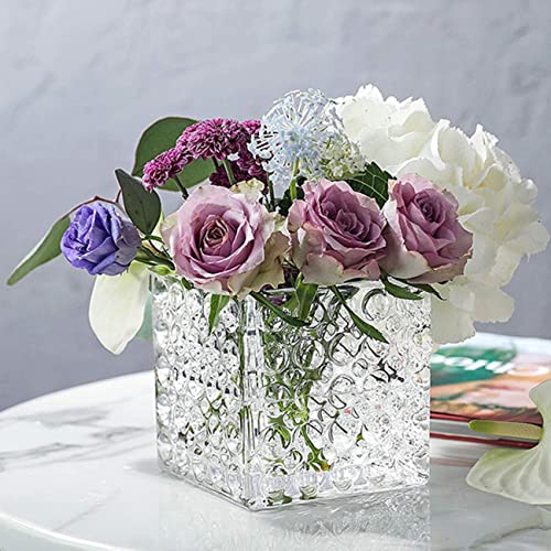 KBO 初心者からステップアップする水草レイアウトの作り方とコツ ～光と影を考えた水槽～: 水草カミハタビジネスオンライン