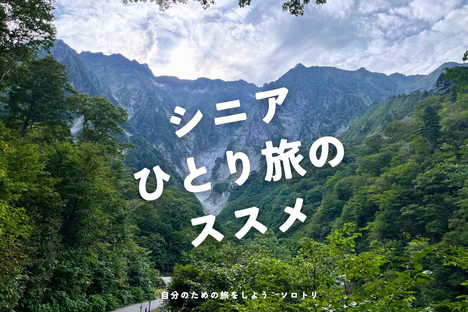 特急あずさ・かいじ 50％割引特急券 発売（2024年3月1日～）