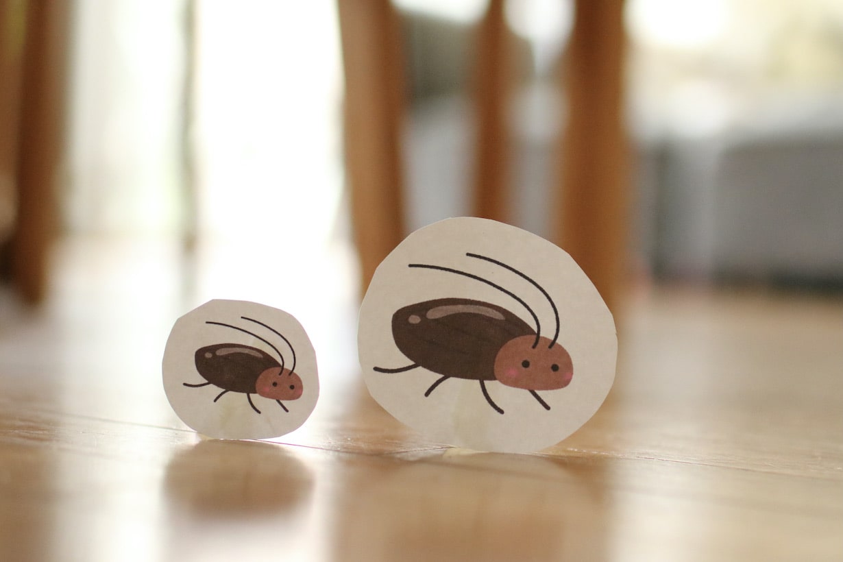 ゴキブリの侵入を防ぐ！侵入経路を理解して完全防御 G対策