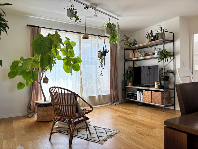 観葉植物をインテリアに取り入れてみませんか？広島のインテリアショップ 栗田家具ソファ専門店家具修理