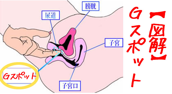 44歳で第3子出産の産後にGスポット刺激でオルガズムになれるイキ方徹底解説【産婦人科医監修】 -  臨床心理士・パーソナルトレーナーの小中学生復学支援・小学生・中学生家庭教育支援・ 不登校母親メンタルサポート