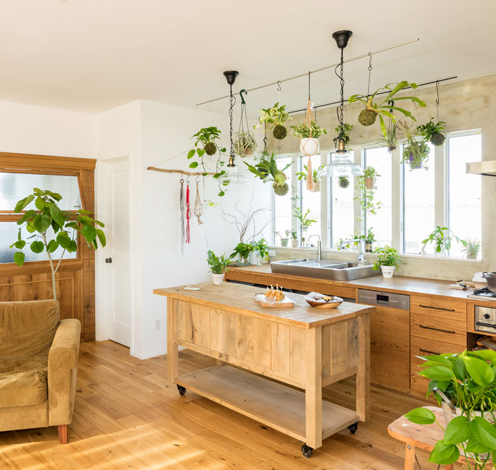 大型の観葉植物があるおしゃれなリビング15選育てやすいおすすめの観葉植物を紹介中古マンション・戸建てリノベーション＆リフォーム