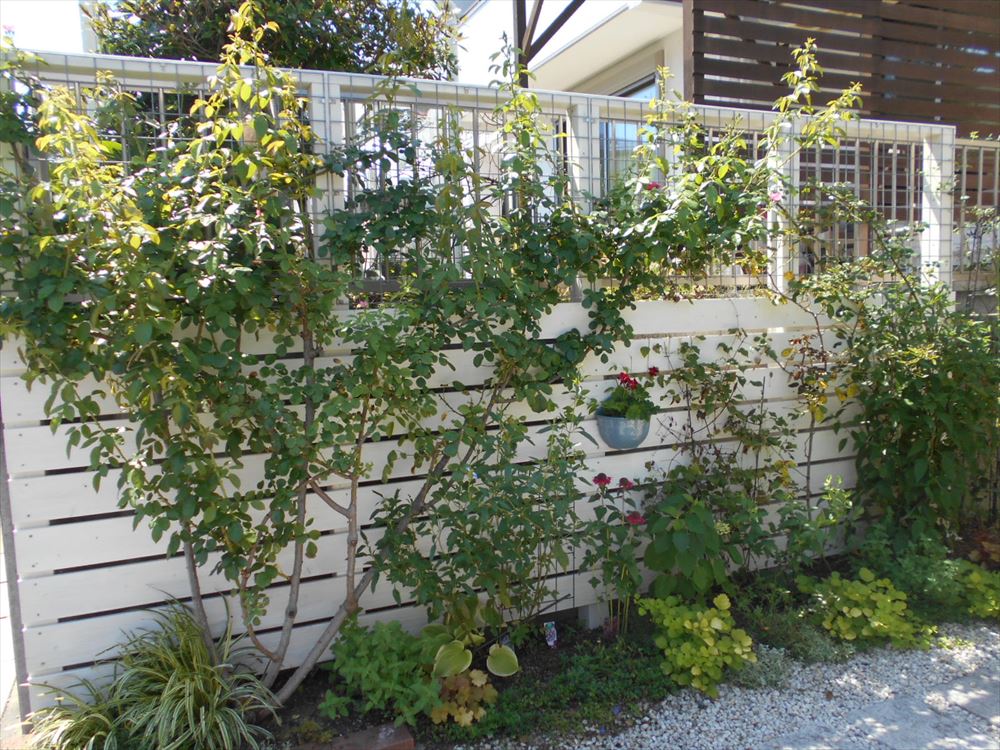 楽天市場 ガーデンフェンス ルオント・ウッドフェンス 3連送料無料 フェンス 柵 木製 折りたたみ 3つ折り 40×121cm 園芸エクステリア 雑貨 花壇 庭 ベランダ バルコニー ガーデニング 木製ガーデンフェンス 蝶番 インテリア 飾り: リビングート 楽天市場店