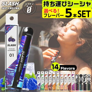 レビュー】MINISHISHA(ミニシーシャ)の口コミと評判を調査し、実際に吸ってみて評価してみた | キングスモー