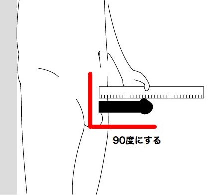 こんばんは、筋トレマニアで、アダルト評論家の一郎です。今日は、ペニスの大きさの測定方法（医学的計測）の話しです！ | 一郎の推奨 