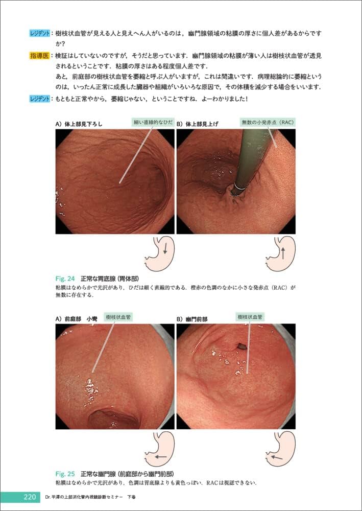 すぐわかる免疫力の高め方 ― 日常生活のちょっとしたコツで気になる免疫力が驚くほど跳ね上がる (実用Ｎｏ．１シリーズ) |