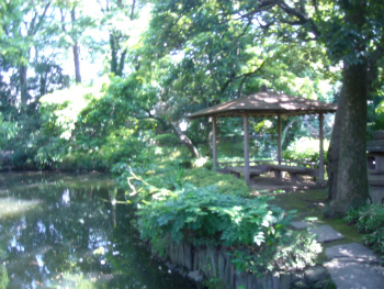 熊谷市観光協会 | ＼熊谷さくら祭