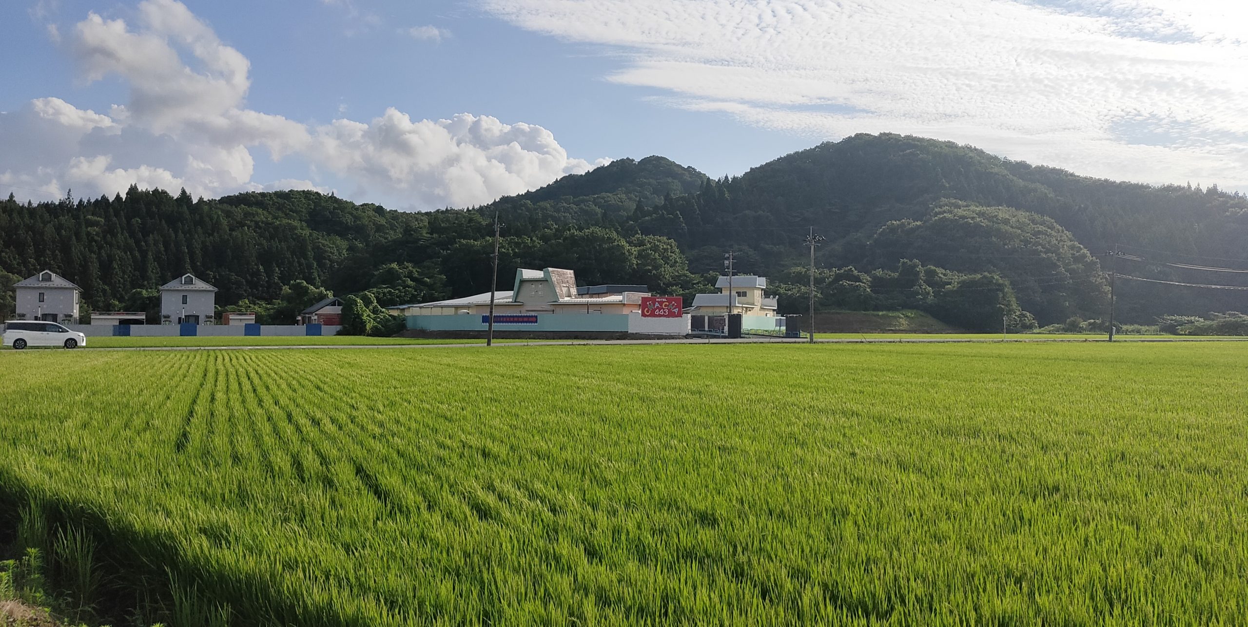 パコパコ庄内店｜庄内（酒田・鶴岡） デリヘル｜山形で遊ぼう