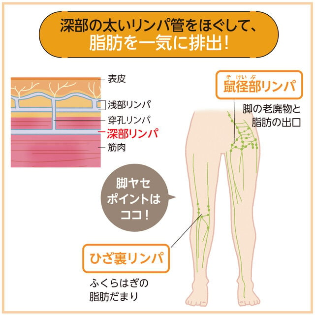 リンパの巡りを促す簡単ストレッチ】6つのリンパ節を同時に刺激して重だる体をスッキリさせる方法 | ヨガジャーナルオンライン