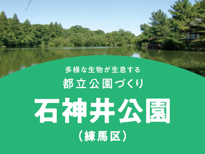 石神井公園｜公園へ行こう！