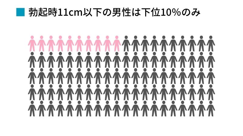 ちんこのサイズは身長や体の大きさに比例する？身体のパーツとの関係性 | ペニス増大サプリおすすめランキング