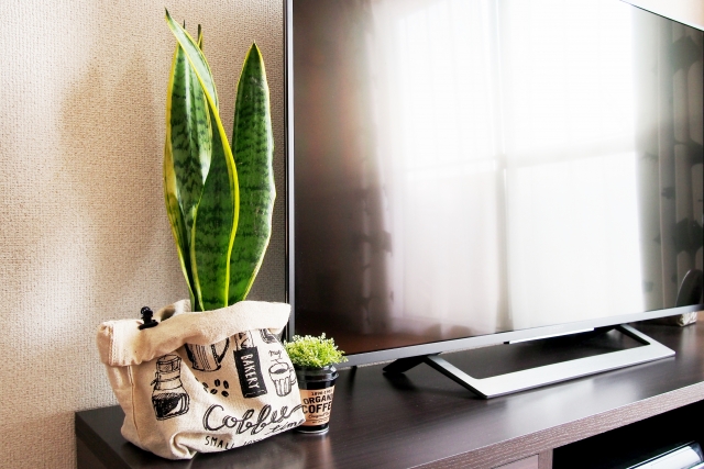 テレビ横 観葉植物のある暮らしのおすすめ商品とおしゃれな実例RoomClip ルームクリップ