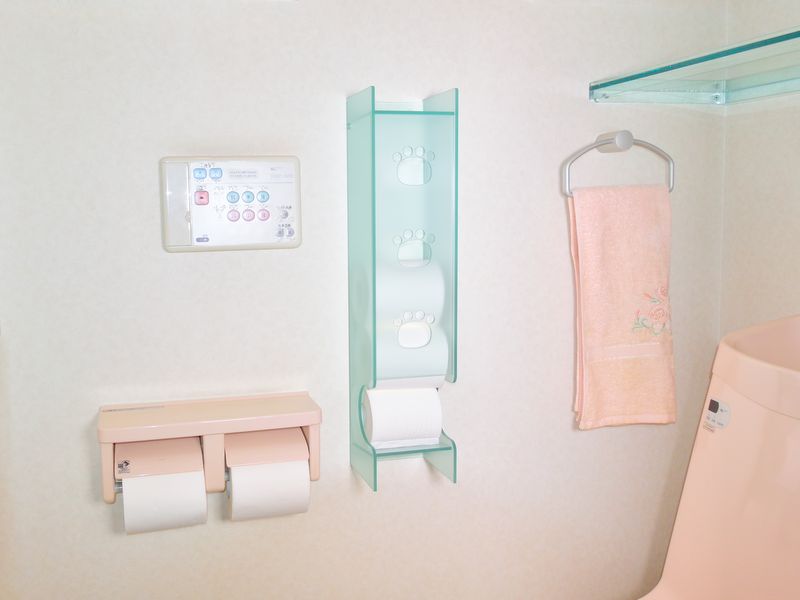 ペーパーティッシュボックス 1個ボックス プラスチック製の持ち帰り用コンテナ 木製トイレットペーパーホルダー 木製装飾 ポンプペーパ ダイソーの使い捨て サニタリーボックスの魅力と利用体験