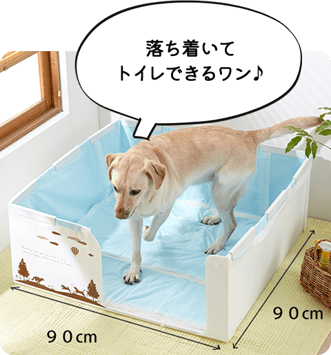 犬専用部屋を注文住宅につくる際のレイアウトや設備のポイント - MY HOME STORY │スーモカウンター注文住宅