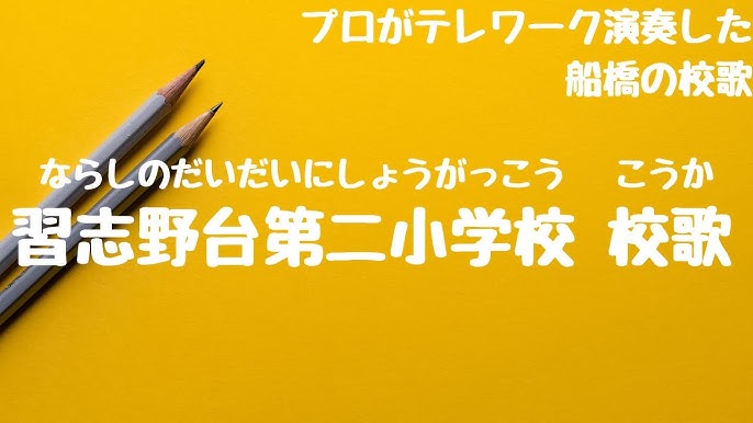 Amazon.co.jp: 美少女GAL椎名そら15本番8時間全作品集vol.1 椎名そら kira☆kira