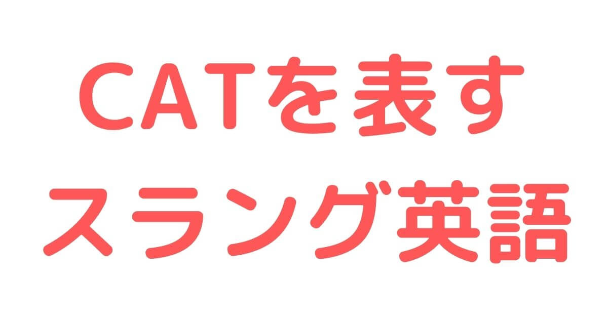 書籍入荷情報】「路地裏プッシーキャット  2」本日入荷しました♬アニメイト限定セット、初回入荷分はご予約のお客様のみですが、（2022.03.19） | 佐賀市