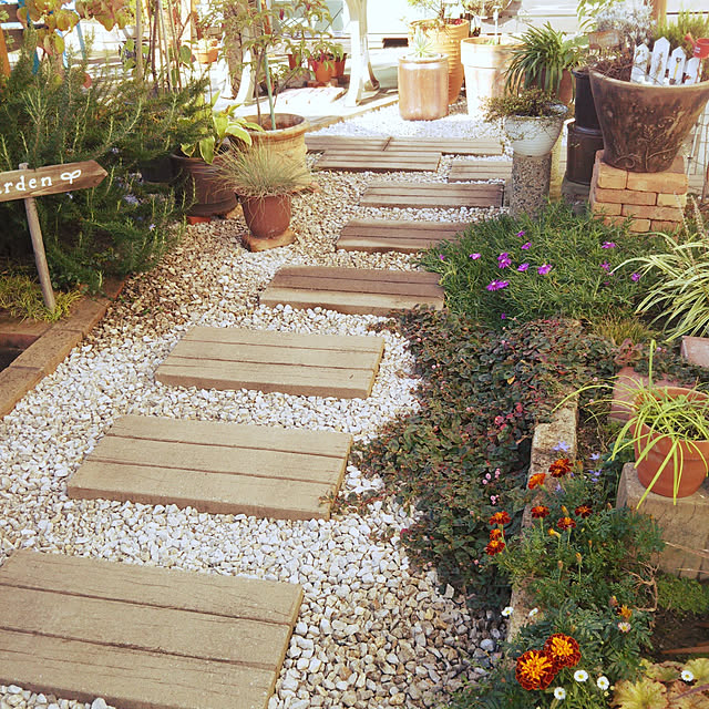 カレックスの育て方を紹介！知りたいお手入れ方法から人気の品種まで – 東京寿園