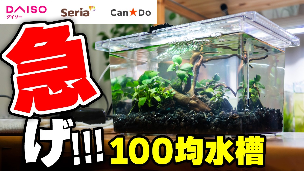 EAコンテスト2・100均一水槽レイアウトを作ろう結果一覧EAコンテスト参加者・水草レイアウト一覧アクアリウムを楽しもう