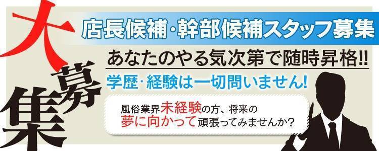 Amazon.co.jp: 夏凪渚はまだ、女子高生でいたい。1 探偵はもう、死んでいる。Ordinary Case (MF文庫J)