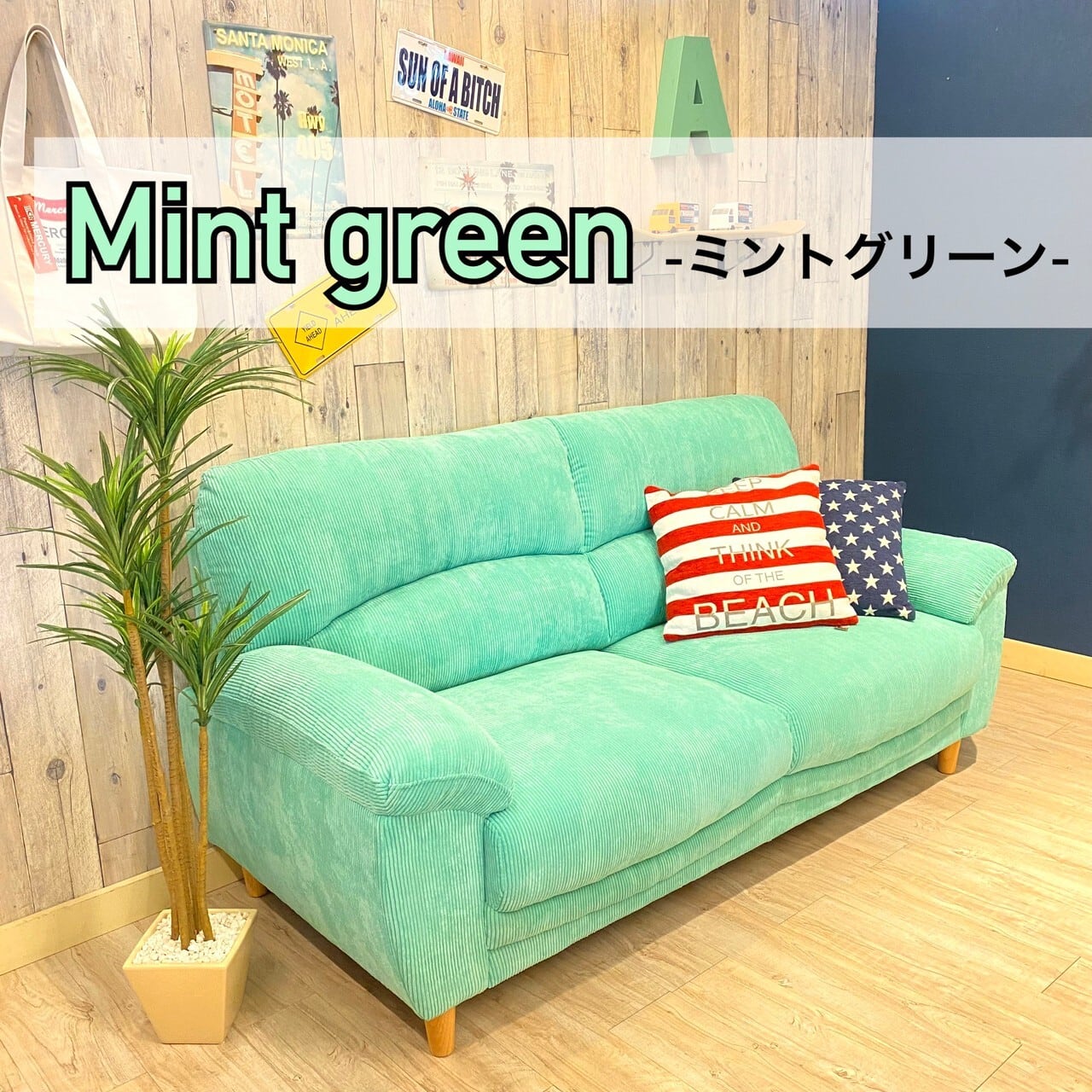 ミントグリーンが映える爽やかなワンルームコーデ ルームツアー公式 LOWYA ロウヤ家具・インテリアのオンライン通販