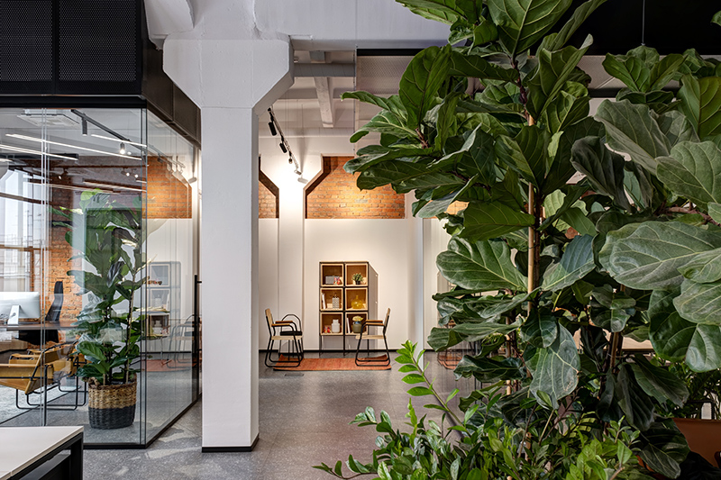オフィスを緑化する事のメリットとは？ - オフィスのまとめオフィス移転と内装工事に関するあらゆるノウハウを一挙公開