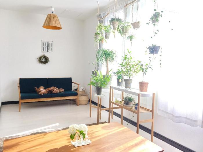 インテリアグリーンでお部屋をおしゃれに！おすすめフェイクグリーン特集！ » 横浜ディスプレイミュージアムアーティフィシャルフラワー・造花の販売・卸販売