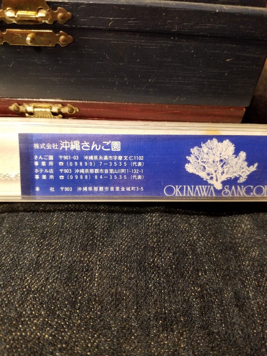 さんご畑での遊び方｜沖縄ラボPassでもっと沖縄旅行を楽しもう |