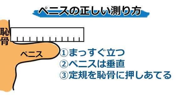 ゴムのサイズわからない人！コンドームのサイズ・大きさ・直径・測り方を紹介 | コンドーム大百科