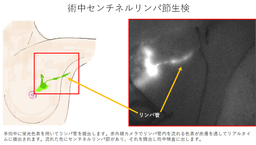 甲府市の慢性腎臓病/腎不全の治療/対応が可能な病院・クリニック(山梨県) 5件 【病院なび】