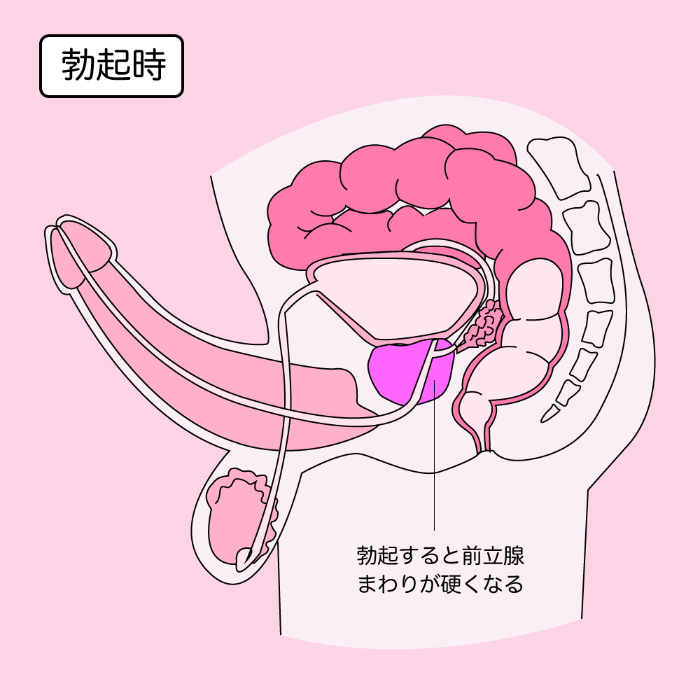 アナルファック（AF）とはどんなプレイ？やり方や注意点・必要な準備を詳細解説｜風じゃマガジン