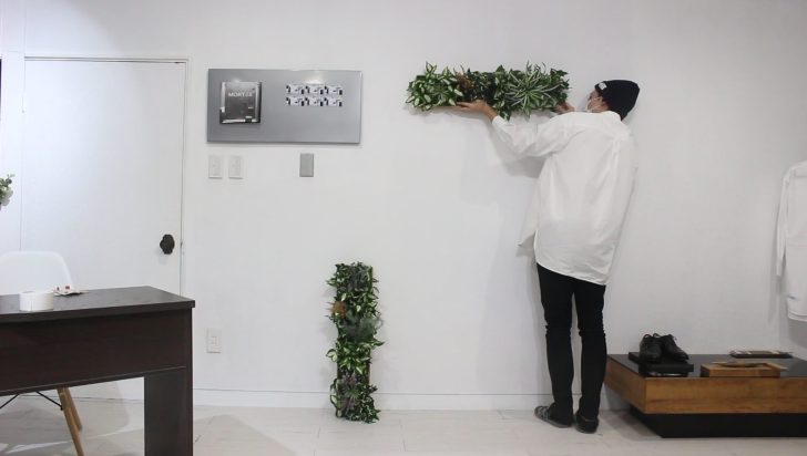 簡単DIY ウォールグリーン作り方PRIMA Online