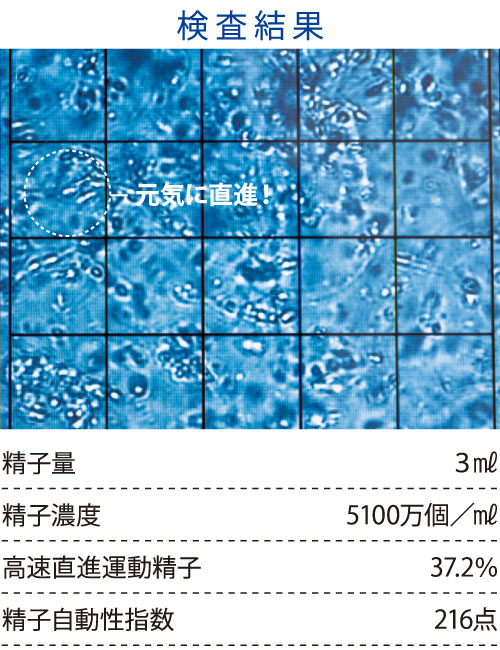 精液検査の数値】をくらべてみた！ 年齢・職業・生活習慣別の妊娠アドバイス |