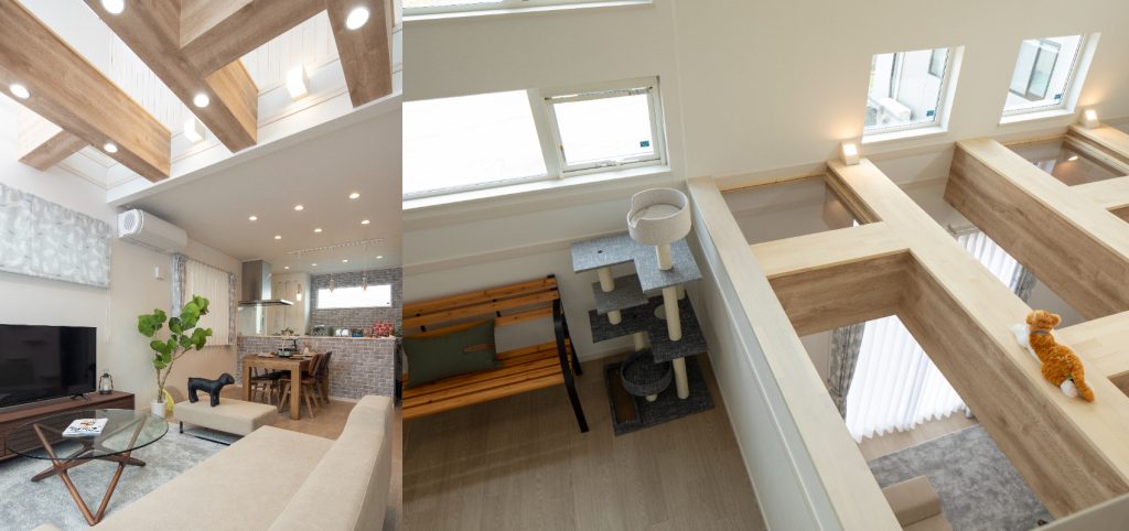 リビング内のペットスペースへは2WAYで くふうイエタテ