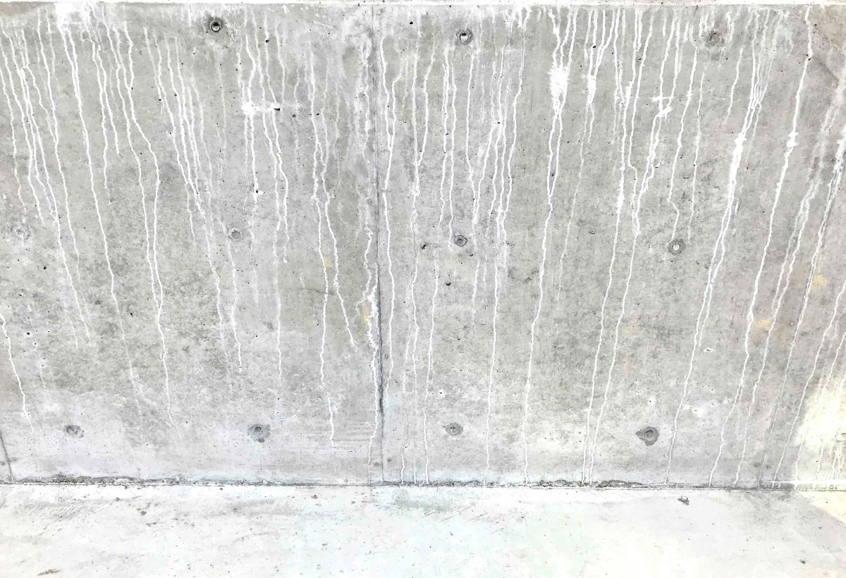 白い外壁サイディングでも汚れが目立たない？！築1年経過した外壁公開！ - 後悔しない家づくりアイデア