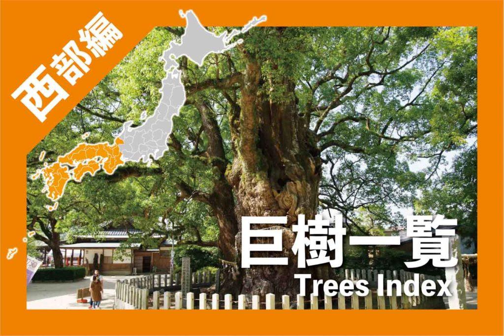 本郷弓町のクス東京とりっぷ