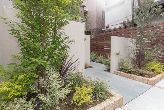 庭の目隠しにおすすめの木を紹介虫がつかない常緑樹は？となりのカインズさん