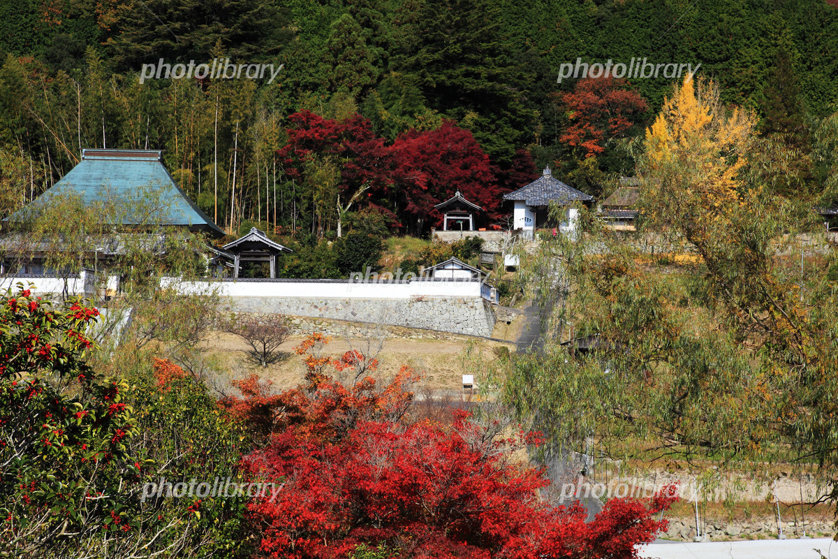 備前市吉永町八塔寺の紅葉 写真素材 [ 6049686 ]