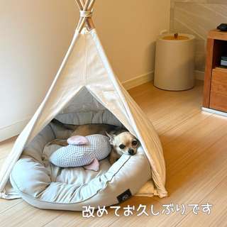 新品未使用品 ニトリ キッズテント ロケット 宇宙 ブルー 室内遊具 キャンプ ペットハウス クリスマスプレゼント 猫犬Yahoo!フリマ 旧PayPayフリマ