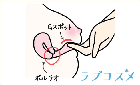 ニュースネタ・下ネタ】潮噴きパート２ | しろくま・まちゃるＷＯＲＬＤ！