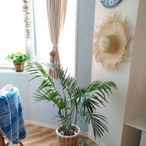 流行りの「リゾートインテリア」実例！ 一人暮らしの部屋をハワイ・西海岸・バリ風に – 商品レビュー記事kurasso クラッソ 編集部