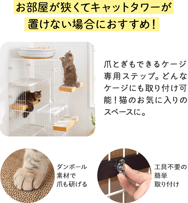 猫の飼育初期 ケージのベストな置き場所AHAHA