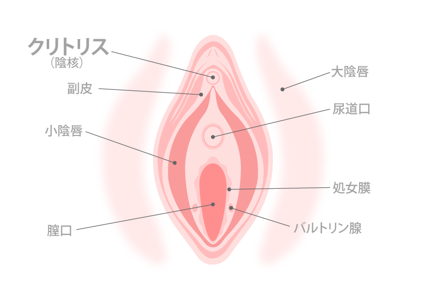 駿河屋 -【アダルト】<中古>クリむいて!チンコぐりぐりさせて下さーい!（ＡＶ）