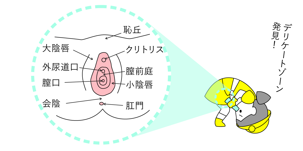 朝起きたらパンツに白い液が… 「夢精」経験していない人は半数以上？ 精通のタイミングとは