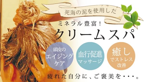 仙台エステ＆サロン】1年間のご褒美に！おすすめクリスマスビューティープラン | 日刊せんだいタウン情報S-style Web