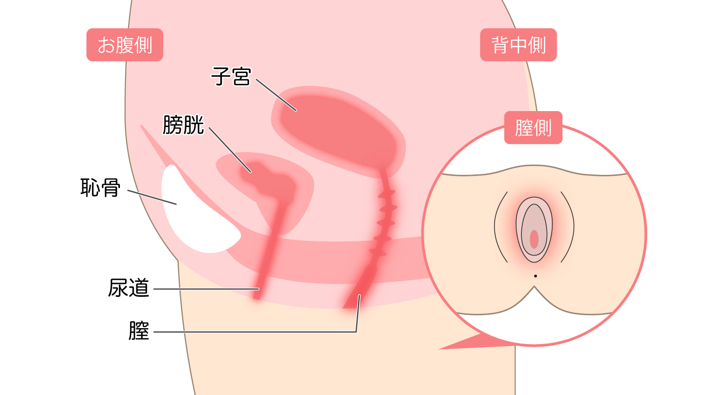 中学受験：二期作と二毛作の違いとは？実例もおさえて受験力アップ | かるび勉強部屋