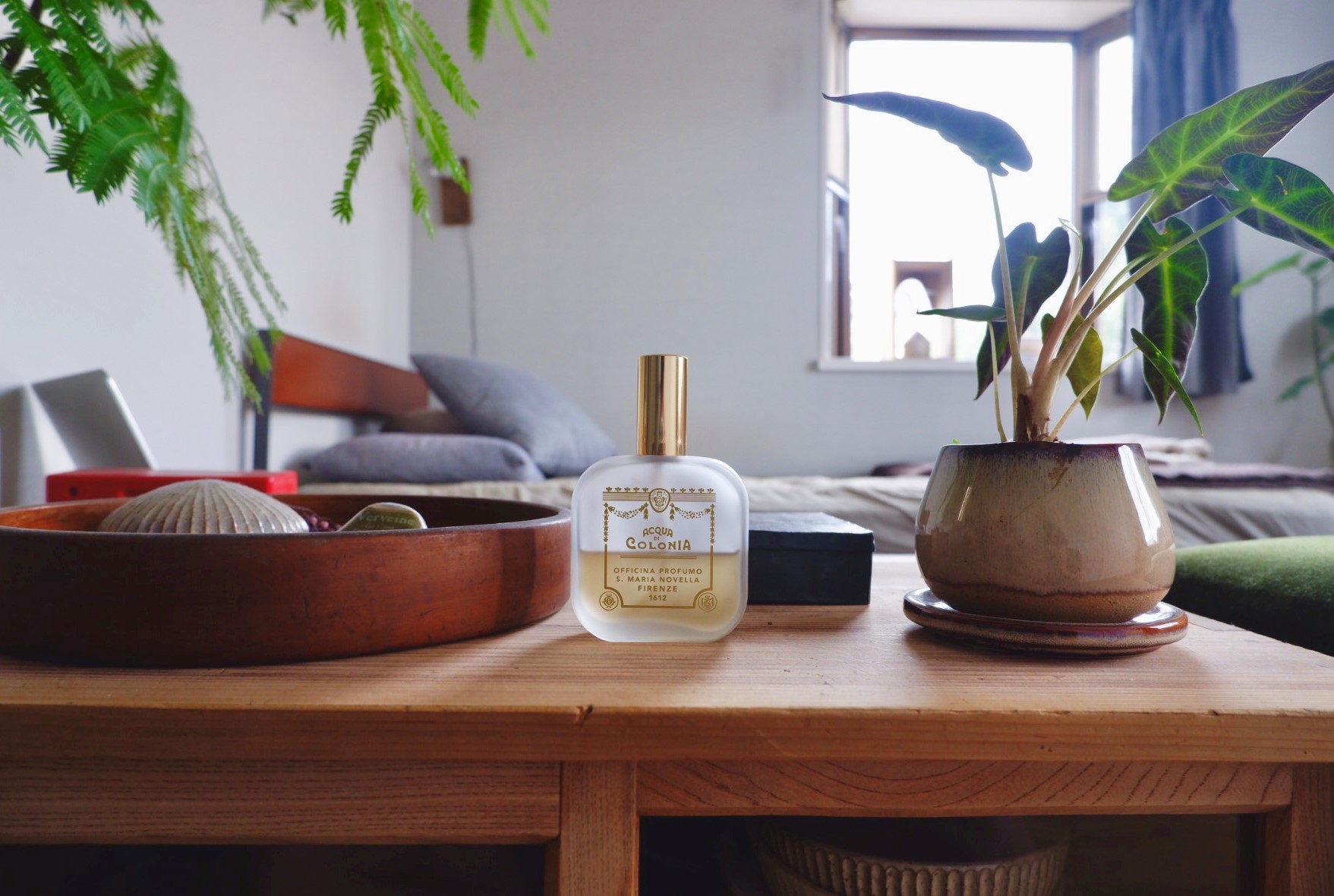 𖣰𖣰𖣰 変化してないトイレ𓈓 ⁡ サンタマリアノヴェッラのタボレッタポプリをかけてます 2年もの 笑 ⁡ サンタマリアノヴェッラは、フィレンツェにある世界最古の薬局だそうすごく雰囲気のあるお店です ⁡ ポプリは ࿓ Lavanda ラベンダー࿓ Melograno メログラーノ